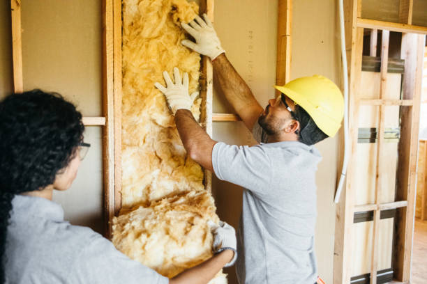 Best Insulation Repair Services  in North Lindenhurst, NY